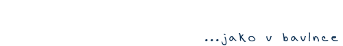 Primary Raster logo